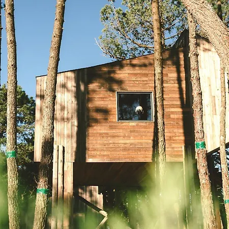 Bukubaki Eco Surf リゾート 4*