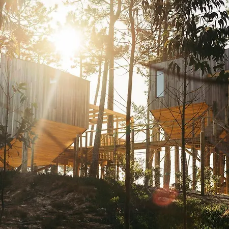 Bukubaki Eco Surf フェレル