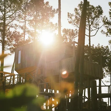 Bukubaki Eco Surf 4* Феррел