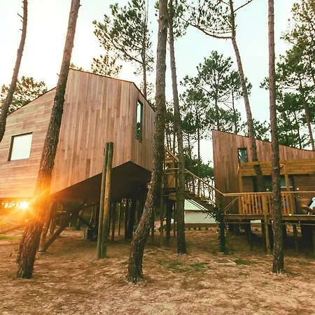 Bukubaki Eco Surf 4* Феррел
