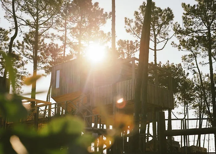 Bukubaki Eco Surf 4* 费雷尔